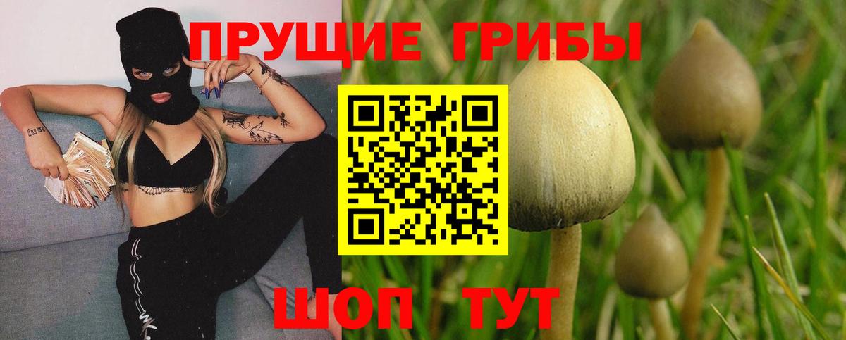 Псилоцибиновые грибы ЛСД  Вход с VPN  Орехово-Зуево 